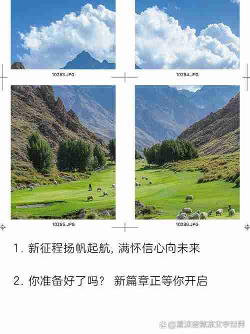 全新澳洲5技巧，开启赚钱新征程
