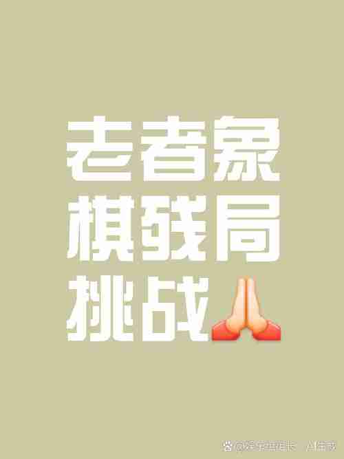 让牌局如虎添翼