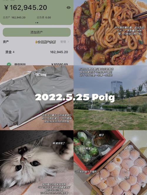 顶级澳洲5技巧分享,让你收获满满