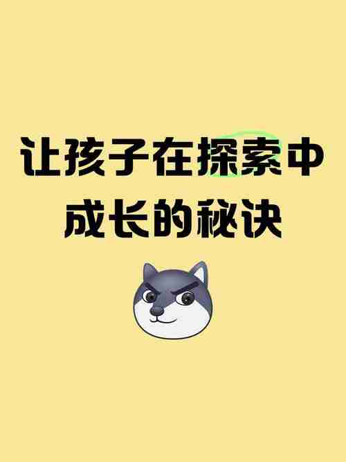 探索与成长的秘诀