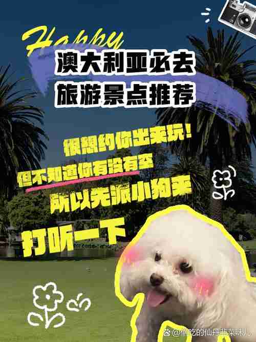 澳洲国家公园总人挤人?5招秘境玩法省$500,土著文化免预约
