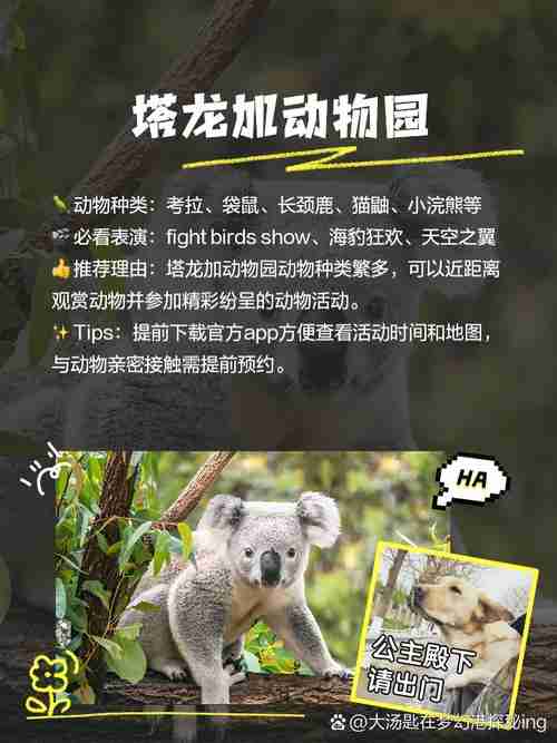 澳洲国家公园总人挤人?5招秘境玩法省$500,土著文化免预约